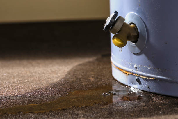 Professional Water damage restoration in Steele, AL