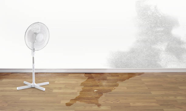 Best 24-hour water damage restoration  in Steele, AL