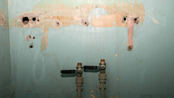 Best Carpet water damage restoration  in Steele, AL
