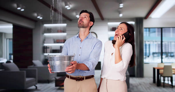 Best Water damage contractors near me  in Steele, AL
